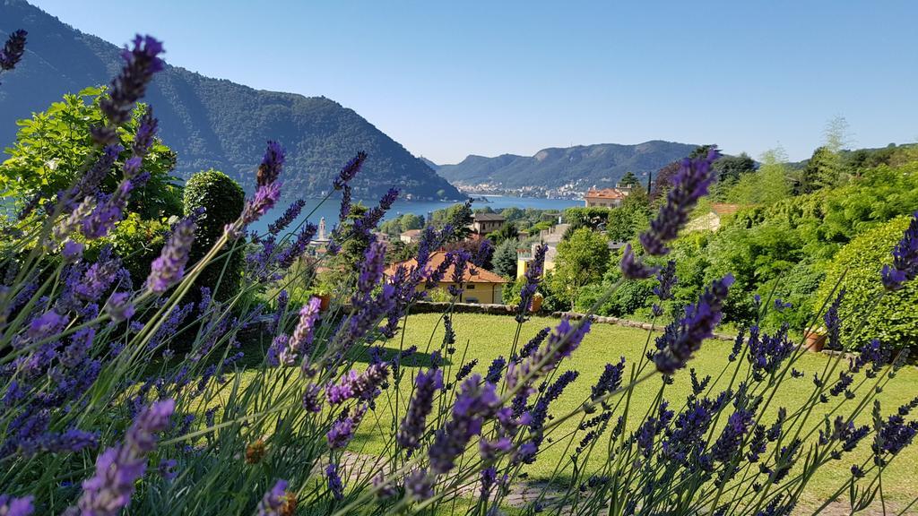 La Finestra Sul Lago Чернобио Екстериор снимка